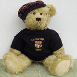 Australian Teddy Bear Co - Cambridge Bear  - Made in Australia