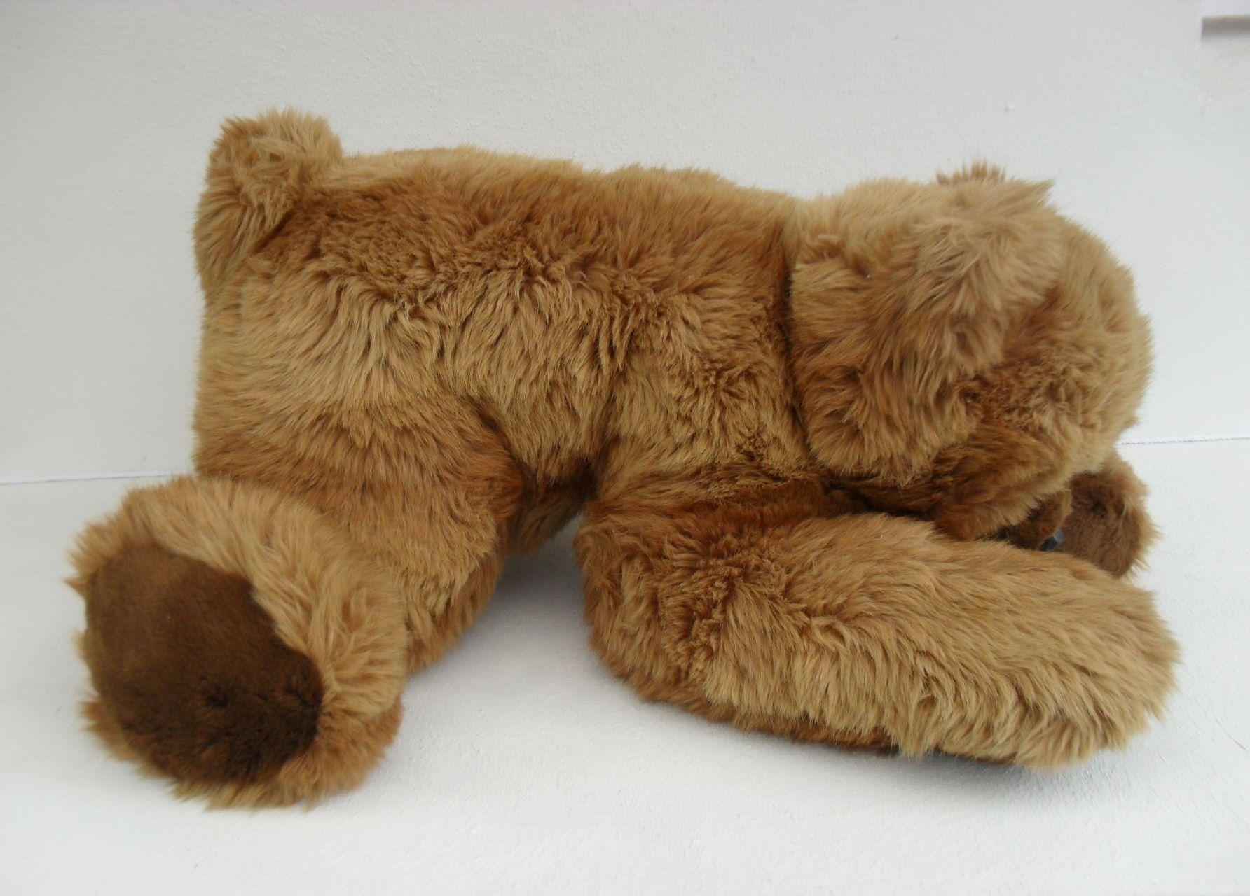 Harrison Bears   - Item No. 462  -   Made in New Zealand